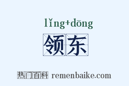 领东是什么意思的图片